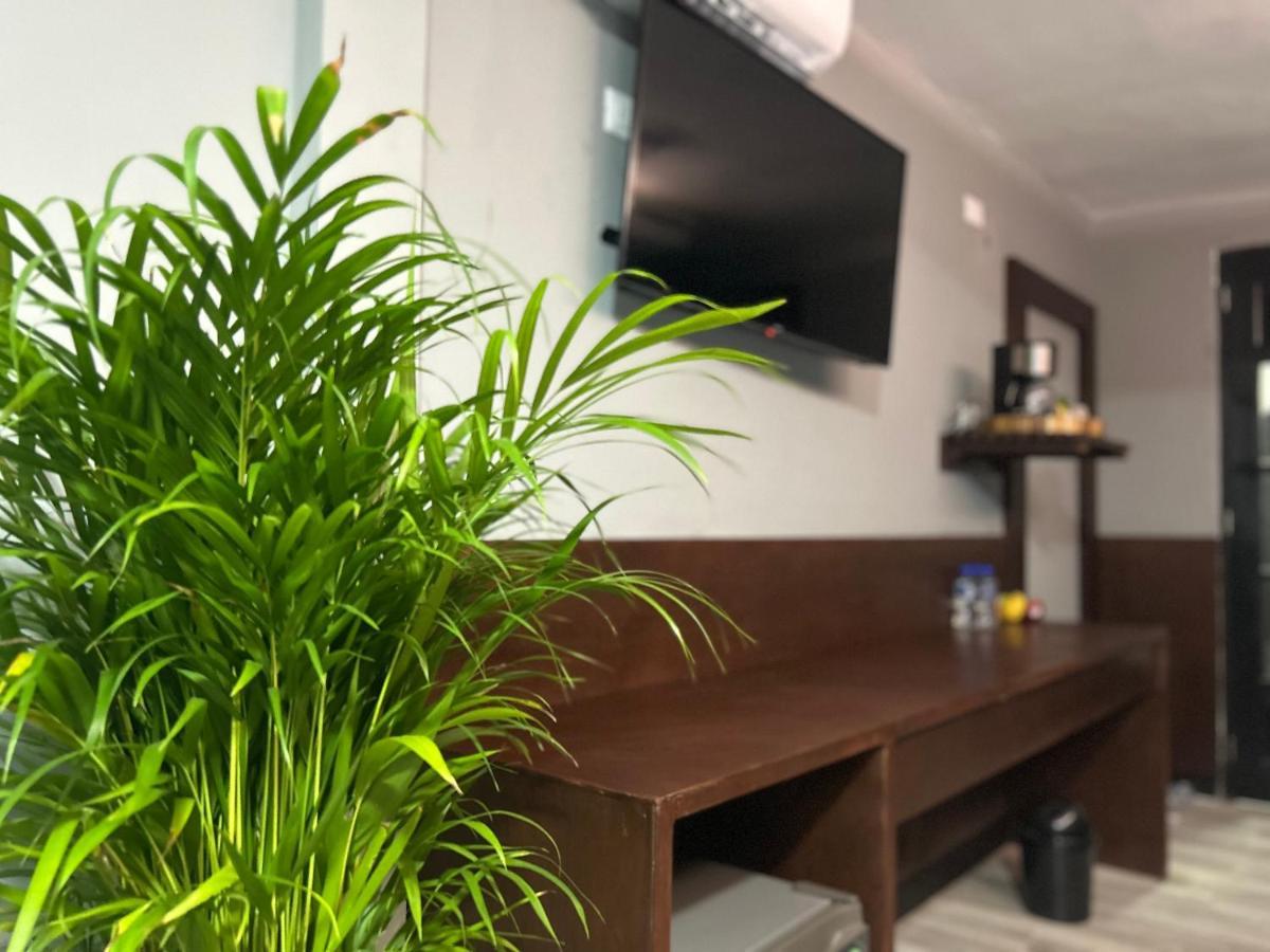 Huasteca Em Suites 시우다드 발레스 외부 사진